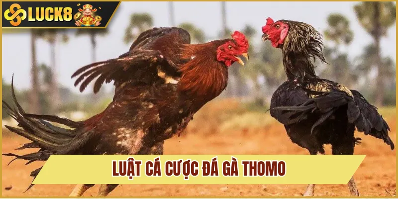 quy tắc cược đá gà thomo